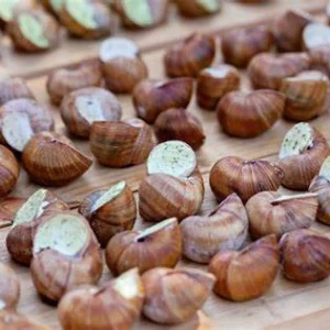 escargots